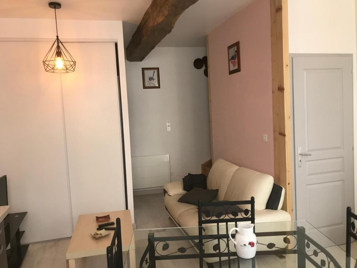 Maison Chaleureuse Au Centre Ville Nérac エクステリア 写真